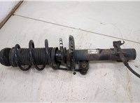  Амортизатор подвески Skoda Rapid 20433287 #1