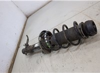  Амортизатор подвески Skoda Rapid 20433287 #3
