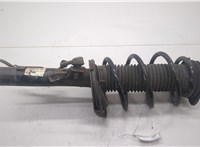 1595291, 4M5118045PBD Амортизатор подвески Ford Focus 2 2008-2011 20433371 #1