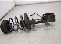  Амортизатор подвески Renault Megane 3 2009-2016 20433489 #1