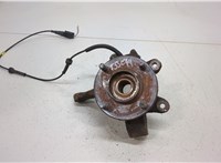  Ступица (кулак, цапфа) Ford Fiesta 2001-2007 20433651 #1