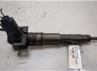 13537792721, 13537809193 Форсунка топливная BMW 7 E65 2001-2008 20433672 #1