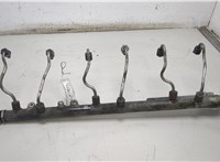  Рампа (рейка) топливная BMW 7 E65 2001-2008 20433676 #1