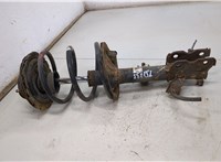  Амортизатор подвески Nissan Murano 2002-2008 20433777 #1
