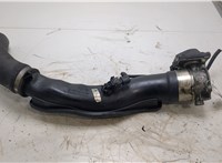 13547806231 Заслонка дроссельная BMW 7 F01 2008-2015 20434173 #1