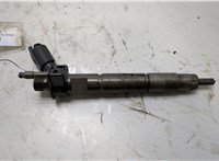 13537805428 Форсунка топливная BMW 7 F01 2008-2015 20434174 #1