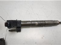 13537805428 Форсунка топливная BMW 7 F01 2008-2015 20434174 #2