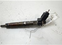 13537805428 Форсунка топливная BMW 7 F01 2008-2015 20434175 #1