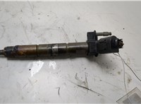 13537805428 Форсунка топливная BMW 7 F01 2008-2015 20434176 #1
