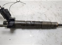 13537805428 Форсунка топливная BMW 7 F01 2008-2015 20434181 #1