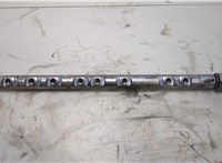  Рампа (рейка) топливная BMW 7 F01 2008-2015 20434182 #2