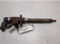 9657144580 Форсунка топливная Ford Focus 2 2008-2011 20435023 #1