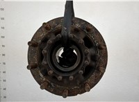  Ступица (кулак, цапфа) Renault T 2013- 20435145 #1