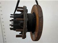  Ступица (кулак, цапфа) Renault T 2013- 20435145 #2