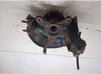 1K0407256AA, 1K0407621F Ступица (кулак, цапфа) Volkswagen Golf 6 2009-2012 20435462 #3