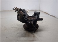  Ступица (кулак, цапфа) Renault Master 1998-2010 20435507 #5
