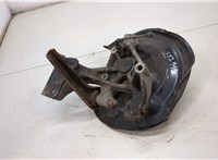  Ступица (кулак, цапфа) Volkswagen Passat 6 2005-2010 20435530 #1