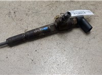 166009445R, 8200294788 Форсунка топливная Renault Megane 2 2002-2009 20436115 #1
