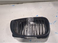  Решетка радиатора BMW 3 E46 1998-2006 20436246 #1