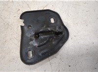  Петля замка капота Audi A6 (C7) 2011-2018 20436520 #1