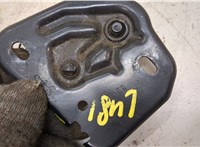  Петля замка капота Audi A6 (C7) 2011-2018 20436524 #3