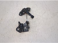  Петля замка капота Subaru Tribeca (B9) 2004-2014 20436568 #1