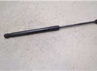  Амортизатор крышки багажника BMW X5 E70 2006-2013 20436602 #1