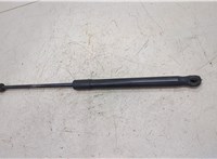  Амортизатор крышки багажника BMW X5 E70 2006-2013 20436603 #1