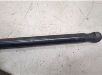  Амортизатор крышки багажника BMW X5 E70 2006-2013 20436603 #2