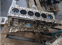 11002239382, 2239382, 11002239383 Блок цилиндров (Шорт блок) BMW 5 F10 2010-2017 20436722 #9