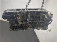 11002239382, 2239382, 11002239383 Блок цилиндров (Шорт блок) BMW 5 F10 2010-2017 20436722 #12