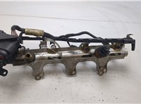  Форсунка топливная Volkswagen Passat CC 2012-2017 20436924 #2