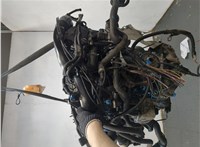  Натяжитель приводного ремня Volkswagen Passat 5 2000-2005 11414199 #6