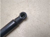  Амортизатор крышки багажника BMW 7 E38 1994-2001 20438516 #3
