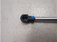  Амортизатор крышки багажника BMW 7 E38 1994-2001 20438516 #4