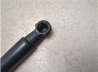  Амортизатор крышки багажника BMW 7 E38 1994-2001 20438517 #3