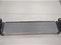  Радиатор интеркулера Buick Envision 2020-2025 20438537 #5