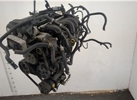  Компрессор кондиционера Ford Focus 2 2005-2008 11414160 #6