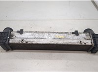  Радиатор интеркулера BMW 3 E90, E91, E92, E93 2005-2012 20438614 #3
