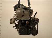  Двигатель (ДВС) Renault Megane 2 2002-2009 20438700 #1