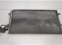  Радиатор кондиционера Ford C-Max 2002-2010 20438765 #1