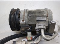  Компрессор кондиционера Chrysler Voyager 2000-2007 20438822 #1