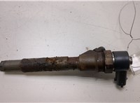 96440397 Форсунка топливная Chrysler Voyager 2000-2007 20438830 #1