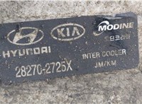  Радиатор интеркулера Hyundai Tucson 1 2004-2009 20439200 #2