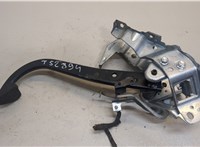 24463408 Педаль тормоза Opel Zafira B 2005-2012 20437967 #1