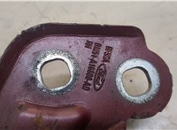  Петля капота Ford Escape 2012-2015 20439418 #2