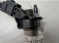  Форсунка топливная Volkswagen Crafter 2006-2016 20439821 #2