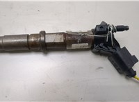  Форсунка топливная Volkswagen Crafter 2006-2016 20439822 #1