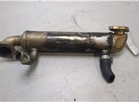 076131512F Охладитель отработанных газов Volkswagen Crafter 2006-2016 20439823 #1