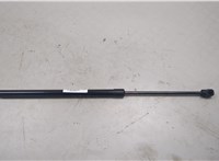  Амортизатор крышки багажника Buick Encore GX 2019-2024 20440188 #1